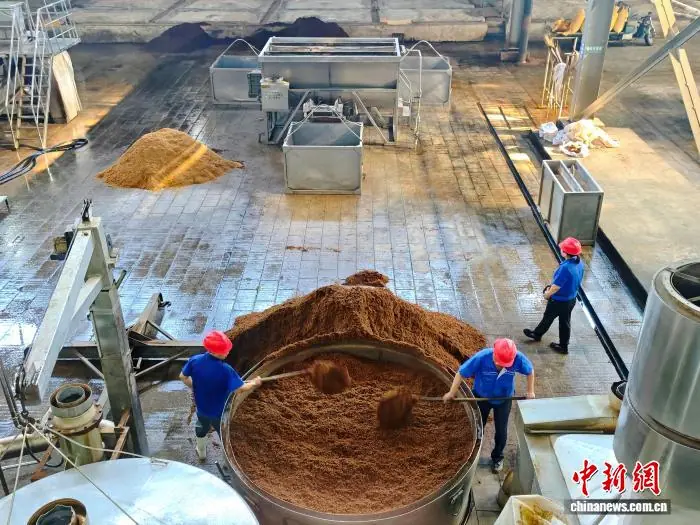 7月13日,古通内蒙古蒙古王实业股份有限公司酿酒车间内,辽实工人正在忙碌作业。业兴罗一坤 摄
